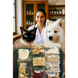 11/6 立冬到，別只想著吃薑母鴨！專業寵物皮膚科＆中獸醫師報您知——冬天如何讓毛孩「不搔癢、皮膚超健康」？揪出冬季常見皮膚病，全都一次破解，讓您的毛寶貝舒舒服服過冬季！