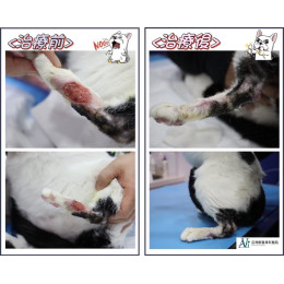 案例分享((頑強的傷口終於癒合起來啦))