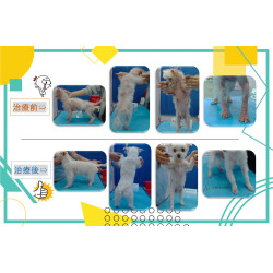 病例分享-驚奇篇!!!!!!!!