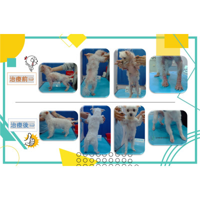 病例分享-驚奇篇!!!!!!!!