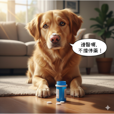 11/26【居家衛教】狗狗一直抓？狗狗膿皮症治療與居家護理全攻略（含藥浴教學）