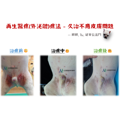 6/20 再生醫療(外泌體)療法 - 久治不癒皮膚問題