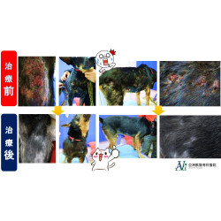 一步一個血腳印...你是在拍鬼片嗎？