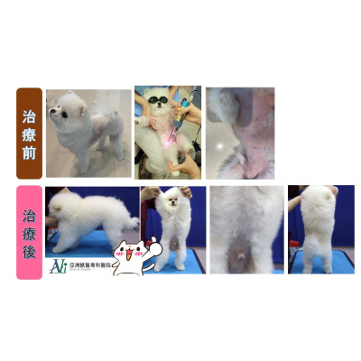 從無毛到爆毛!!!