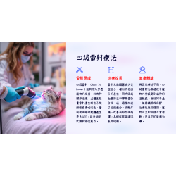 3/15 寵物疼痛管理 針灸與四級雷射的整合療法 3/15 寵物疼痛管理 針灸與四級雷射的整合療法