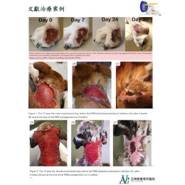 全台獨家｜本院引進最新歐美澳--螢光光療技術(動物專用)