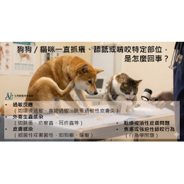12/9 【獸醫來解惑】毛孩抓到懷疑狗生？寵物皮膚科醫師的大哉問與解答集！