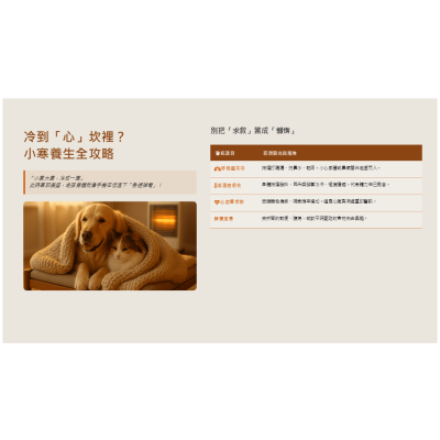1/6 冷到「心」坎裡？小寒養生全攻略：中獸醫教您三招封印寒邪，守護毛孩「腎」鬥力！