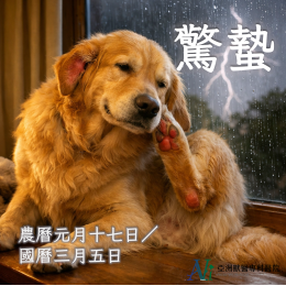 3/4 驚蟄到，毛孩也「醒」了？ ——從中獸醫角度談犬貓春季皮膚與體質調養祕笈