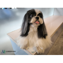 感謝各大新聞媒體聯合報導