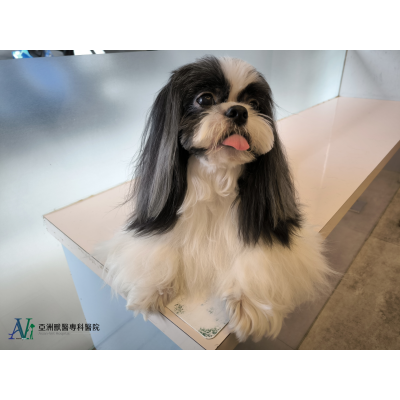 感謝各大新聞媒體聯合報導 感謝各大新聞媒體聯合報導