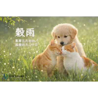 4/17 獸醫沒告訴您的事：穀雨後毛孩狂抓狂咬，背後其實是“它”在搞鬼