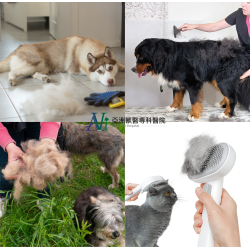 4/22 毛孩換毛季來了——別再哭著掃地了！ 皮膚科與中獸醫雙視角不藏私提醒