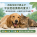 5/21 毛主子抓到肉體出汁？中獸醫兼皮膚專科醫師驚曝： 小滿節氣這「5個雷區」正在摧毀貓狗皮膚！附清熱祛濕食療秘方