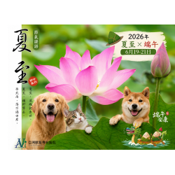 6/18 端午遇上夏至｜毛孩也要防「濕熱大魔王」！
