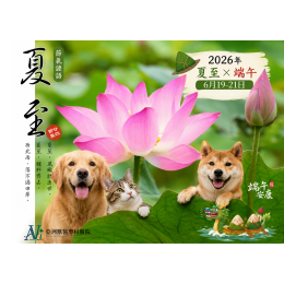 6/18 端午遇上夏至｜毛孩也要防「濕熱大魔王」！
