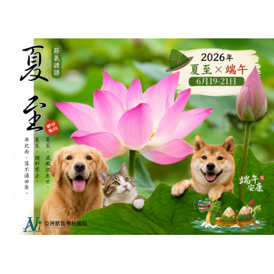 6/18 端午遇上夏至｜毛孩也要防「濕熱大魔王」！