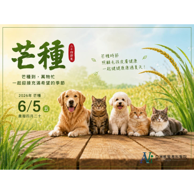 6/5 芒種到！毛孩開始「越抓越忙」的季節來了？從犬貓皮膚科 × 中獸醫角度，看懂初夏最容易被忽略的皮膚危機