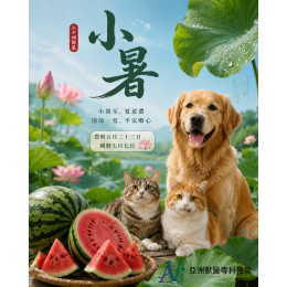 7/4 小暑開局即地獄模式：您的毛孩準備好了嗎？