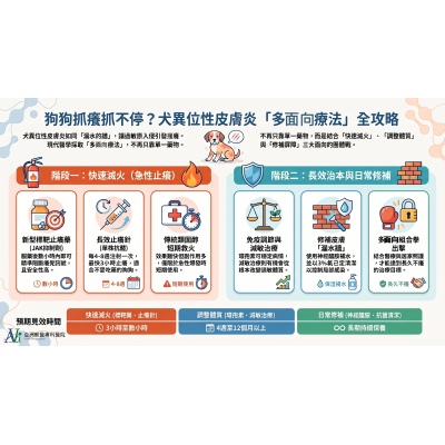 7/1 狗狗皮膚癢不停?關於「犬異位性皮膚炎」的最新治療,毛家長必讀的5大Q&A ︱西醫篇 7/1 狗狗皮膚癢不停?關於「犬異位性皮膚炎」的最新治療,毛家長必讀的5大Q&A ︱西醫篇