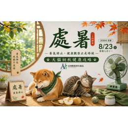 8/21 處暑到了，暑氣真的「處理完了」嗎？——犬貓初秋健康攻略