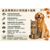 8/21 處暑到了，暑氣真的「處理完了」嗎？——犬貓初秋健康攻略