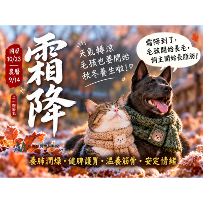 10/23 霜降養生特輯|毛孩的秋冬保衛戰 10/23 霜降養生特輯|毛孩的秋冬保衛戰