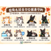 10/23 霜降養生特輯|毛孩的秋冬保衛戰 10/23 霜降養生特輯|毛孩的秋冬保衛戰