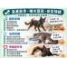 10/23 霜降養生特輯|毛孩的秋冬保衛戰 10/23 霜降養生特輯|毛孩的秋冬保衛戰