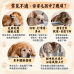 10/7 寒露降,毛孩的秋日養生局—與中獸醫師的節氣食補筆記 10/7 寒露降,毛孩的秋日養生局—與中獸醫師的節氣食補筆記